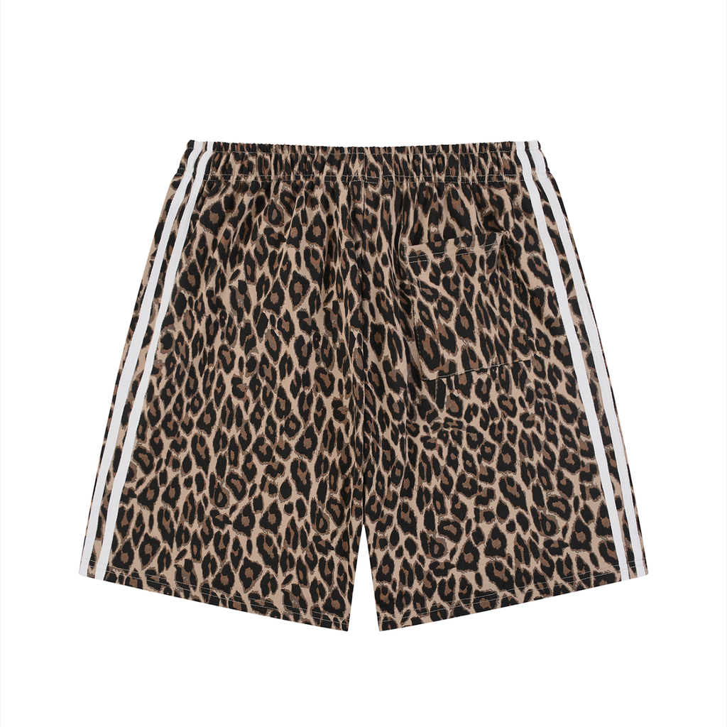 sizeup,leopard,jesus,christian