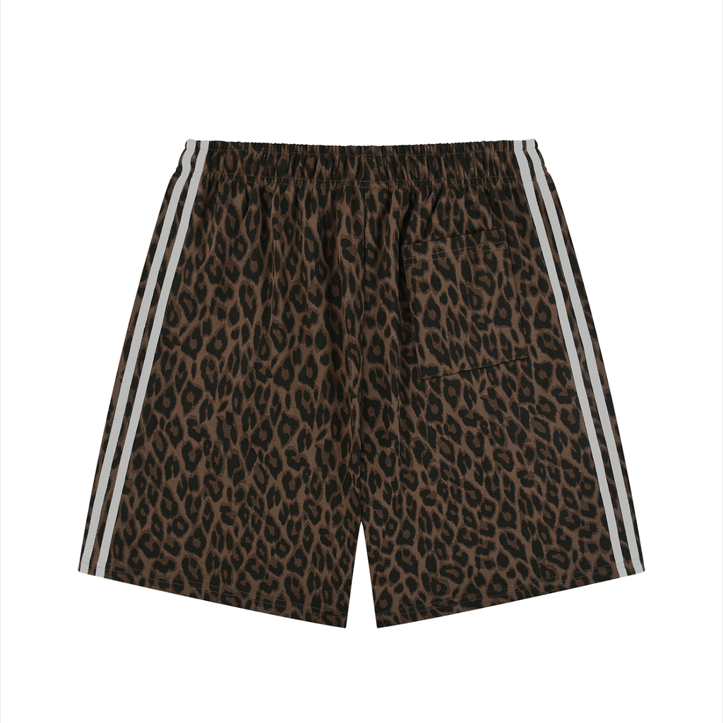 sizeup,leopard,jesus,christian