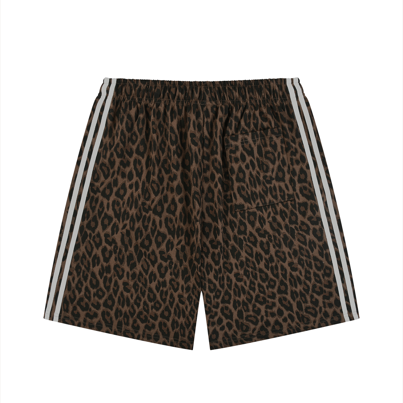 sizeup,leopard,jesus,christian