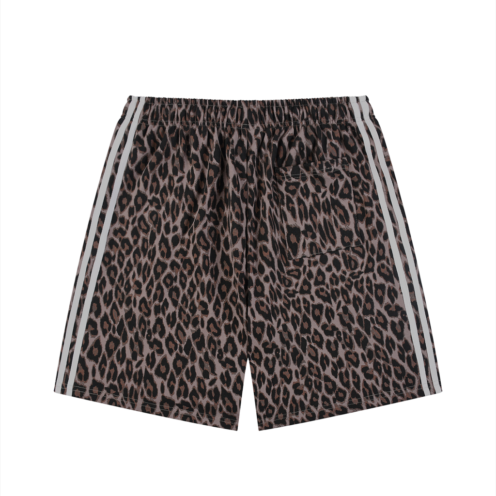 sizeup,leopard,jesus,christian