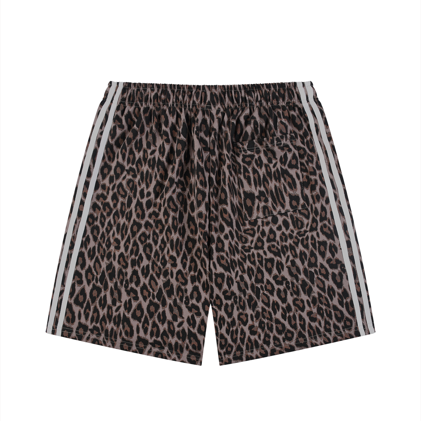 sizeup,leopard,jesus,christian